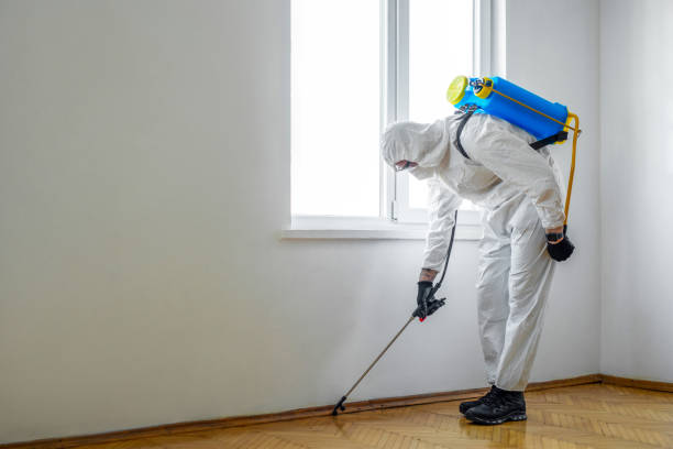Best Pest Removal Services  in Flippin, AR