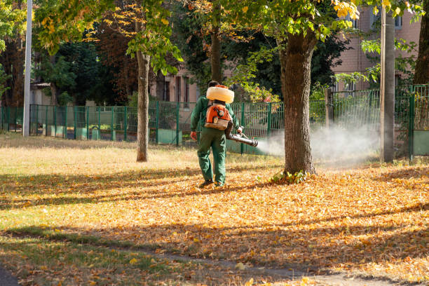 Best Best Pest Control Companies  in Flippin, AR